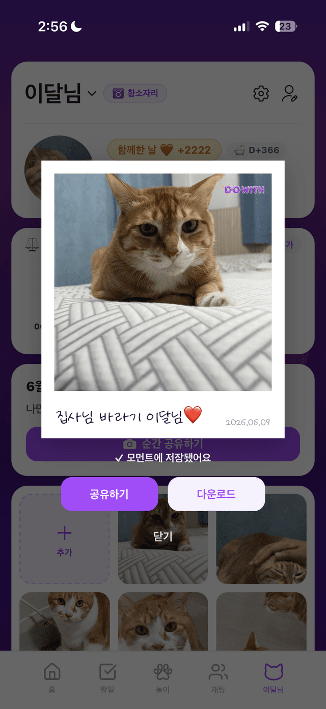 주간 챌린지 결과