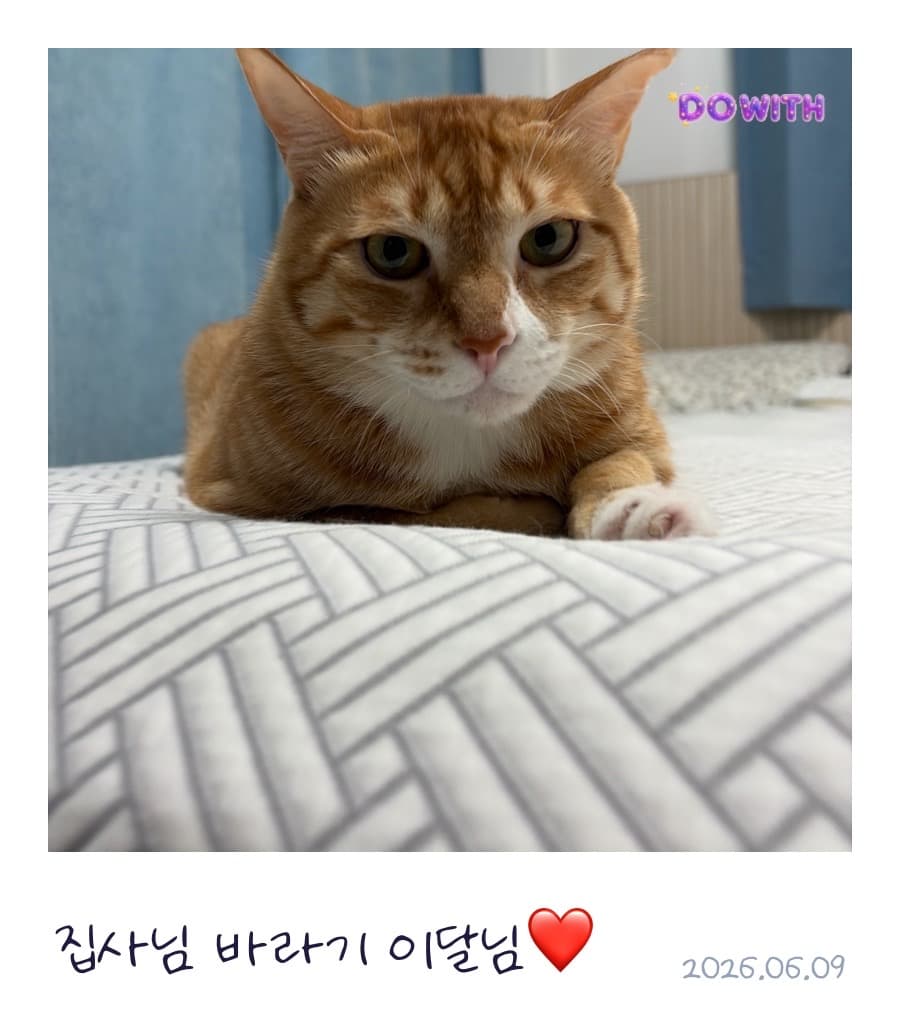 모먼트 카드