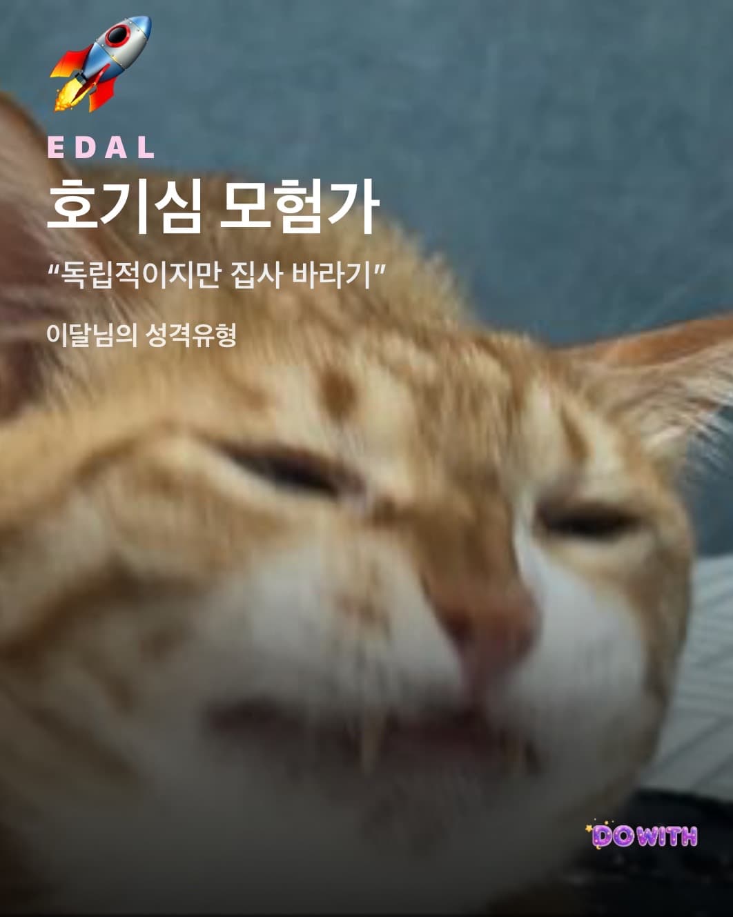 성격유형 카드