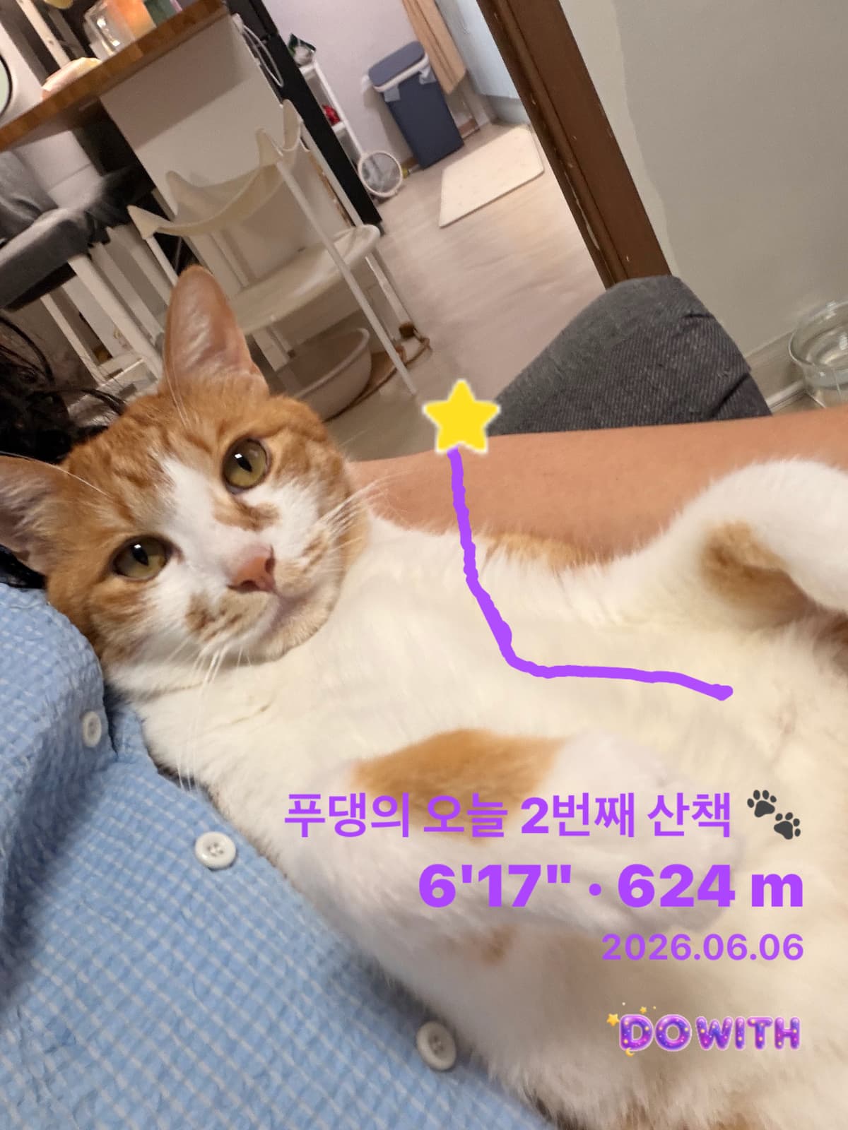 산책 기록 카드